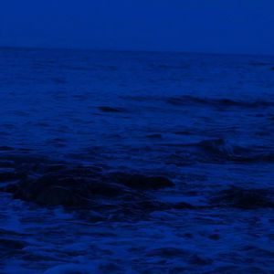 piperperrier黑白配xxx
